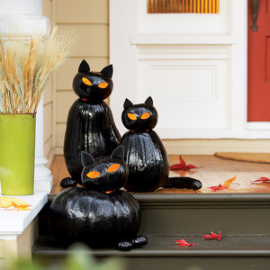 Painted Black Cats